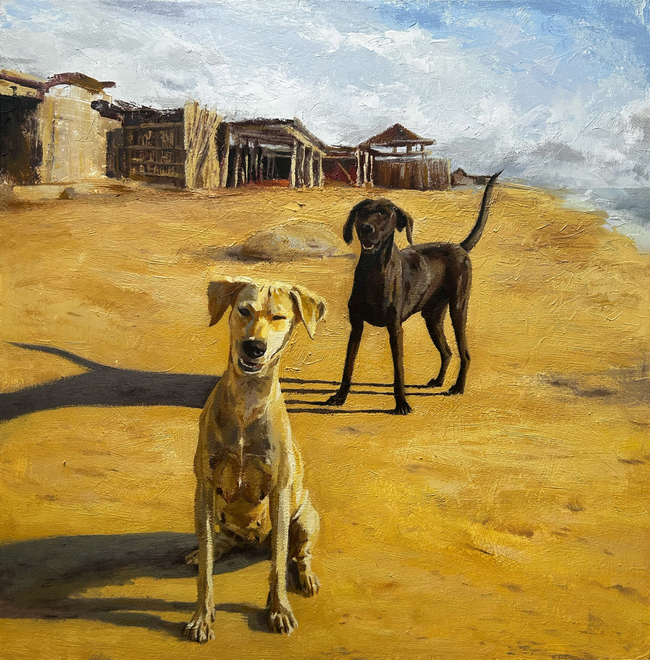 guajira